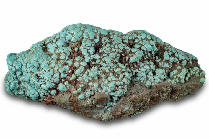 Polished Turquoise Specimen - Number Mine, Carlin, NV #260493